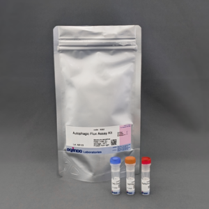 Autophagic Flux Assay Kit