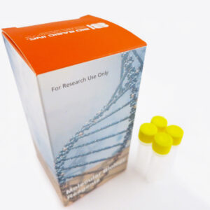 LR DNA Polymerase with 10mM dNTP Mix (250U)