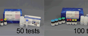 ACE Kit - WST
