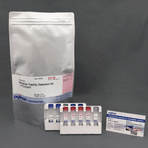 -Bacstain- Bacterial Viability Detection Kit - CTC/DAPI