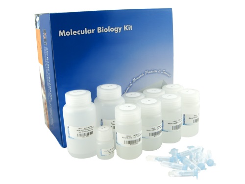 Fast DNA Ligation Kit (5u/ul, T4)