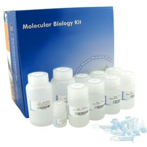 Seamless cloning Master Mix (Kit)