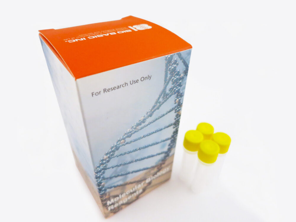 Taq PCR Master Mix (2X, Red Dye)