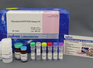 Glycolysis/OXPHOS Assay Kit