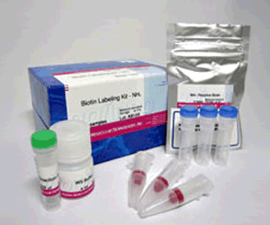 Biotin Labeling Kit - NH2