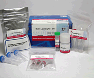Biotin Labeling Kit - SH