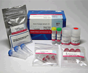 Alkaline Phosphatase Labeling Kit - SH