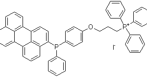 MitoPeDPP