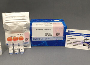 MT-1 MitoMP Detection Kit
