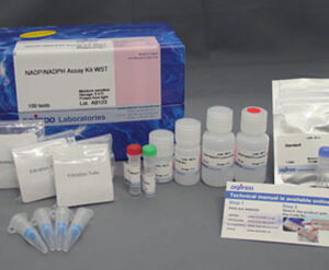 NADP/NADPH Assay Kit-WST