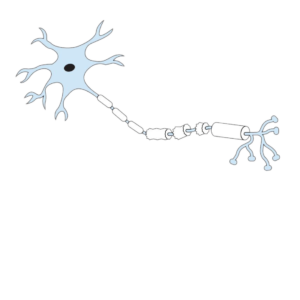 Neurodegenerative Disease Products