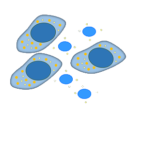 Cell Senescence Products