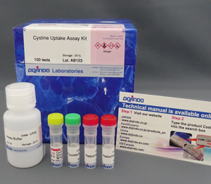 Cystine Uptake Assay Kit