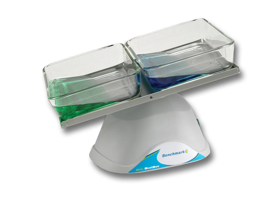 Mini Blot 3D Rocker, fixed speed, small 10"x7.5" platform with flat mat, 115V