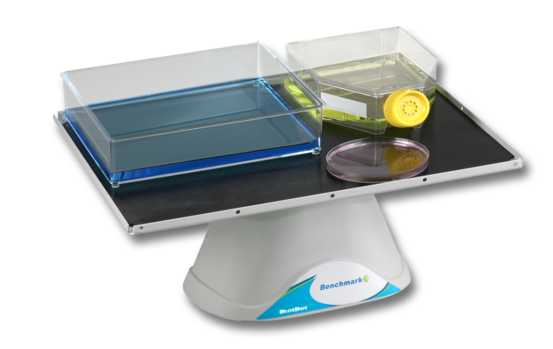 Blot 3D Rocker, fixed speed, 12"x12" platform with flat mat, 115V