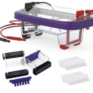 12-well Dual System Electrophoresis Apparatus