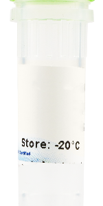 EZ Taq Polymerase (HotStart)