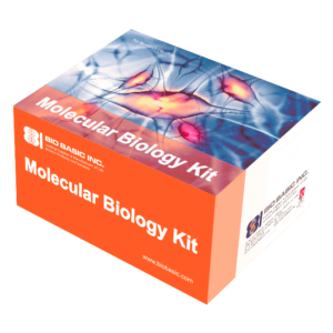 96-Well Plate Plasmid DNA Mini-Preps Kit (Vacuum Based)