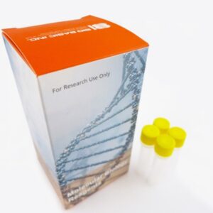 5X All-In-One RT MasterMix (25x10ul Rxns)